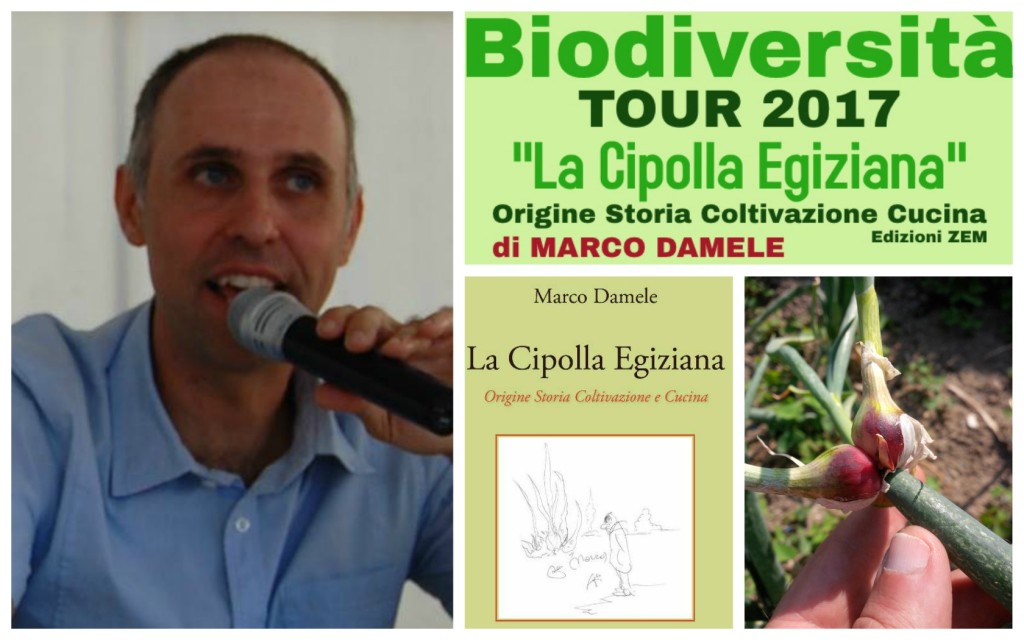 collage_marcodaniele_cipollaegiziana