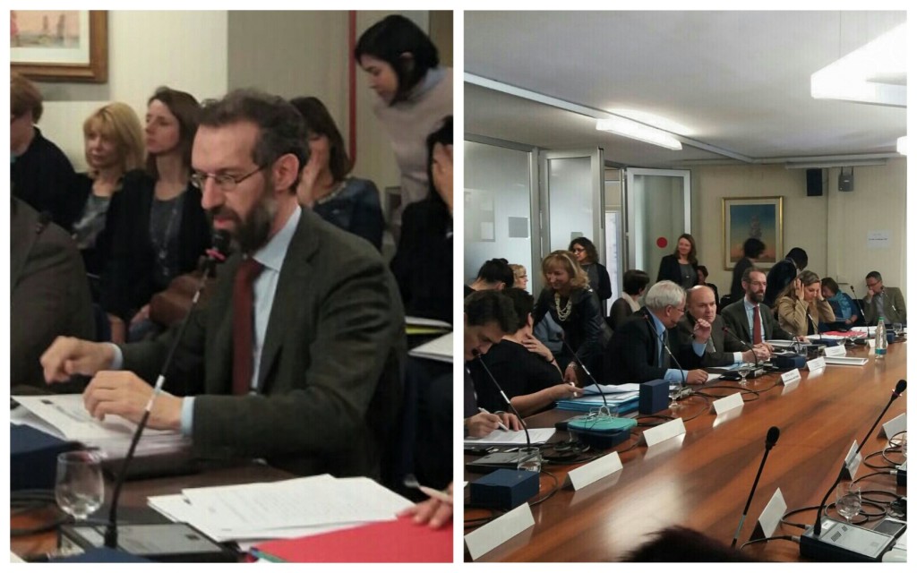 collage_nattatorino