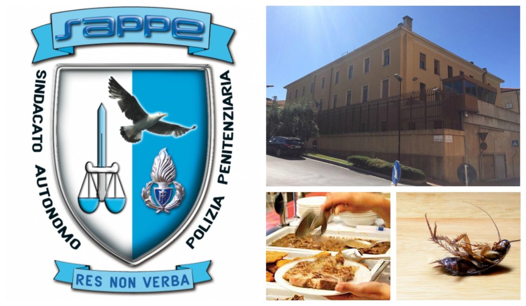 collage_sappe_mensascara