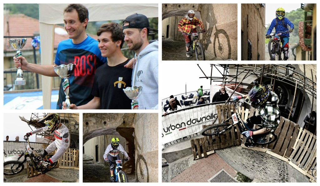 COLLAGE_urband_cervo2