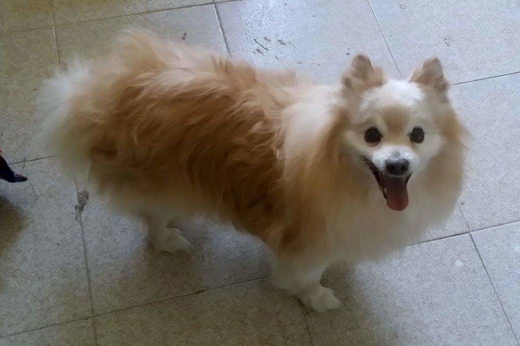 FB_IMG_1492884278362