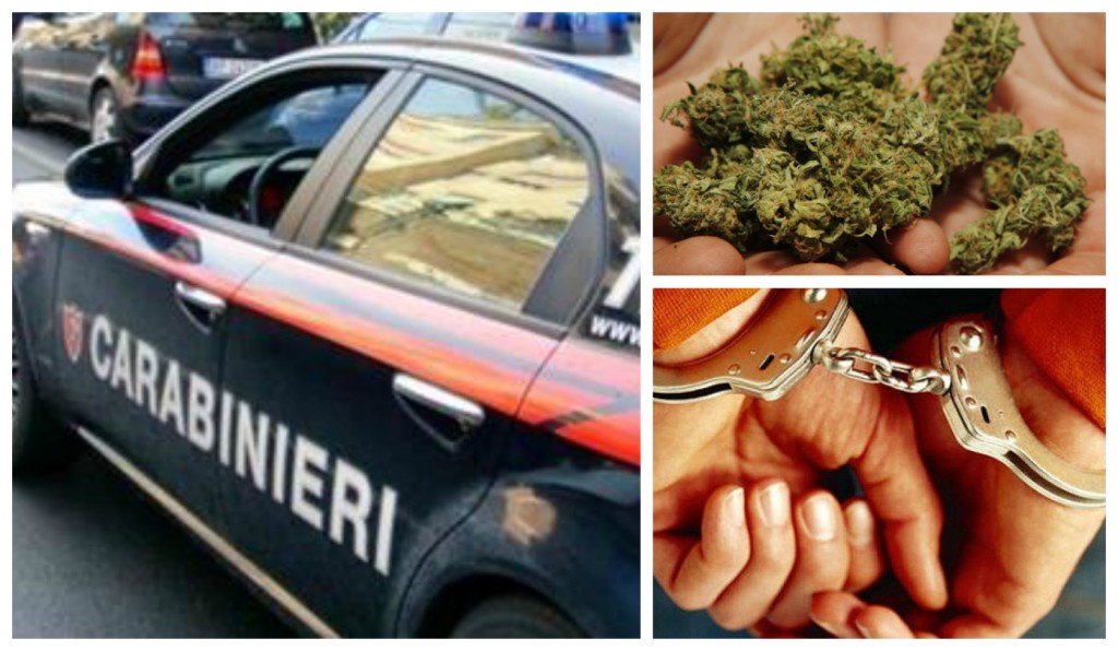 collage_carab_maria_pep