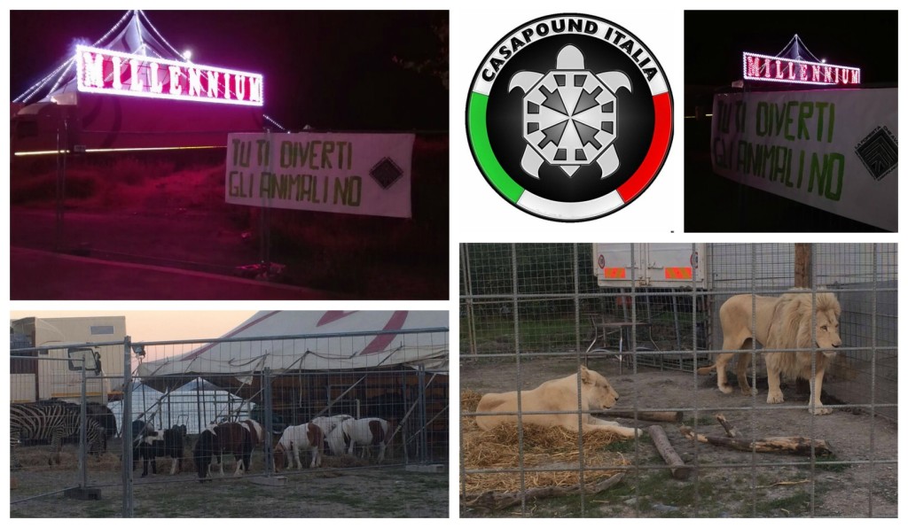 collage_casapoundcirco