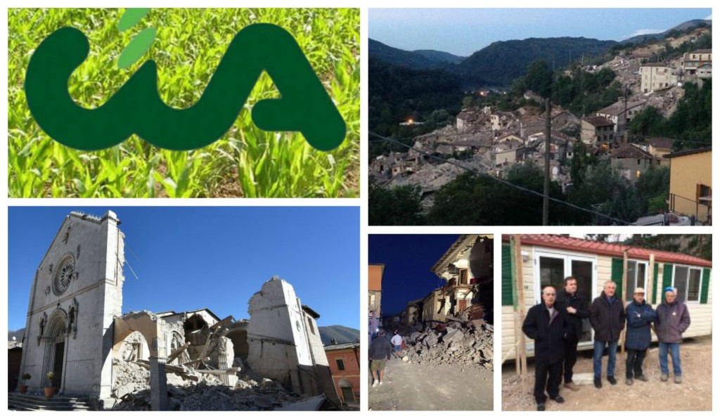 collage_ciaterremoto