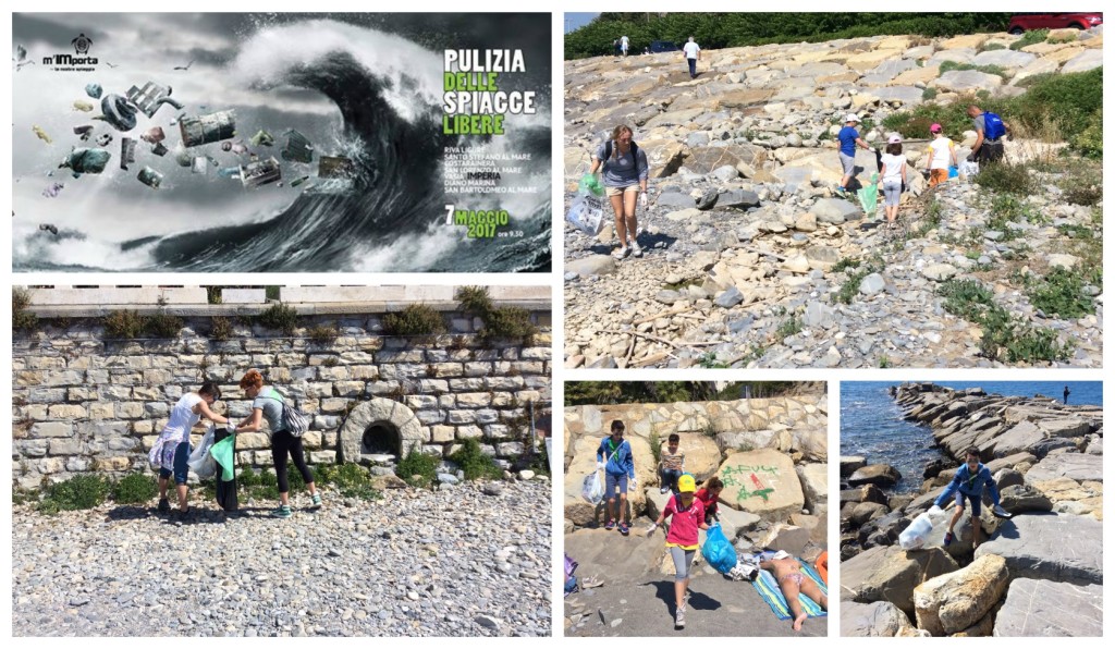 collage_importapulizia