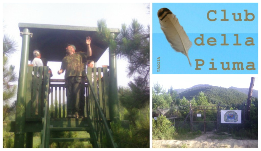 collage_clubpiuma_escursione