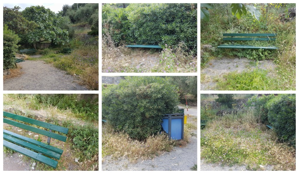 collage_degradoparco_cds