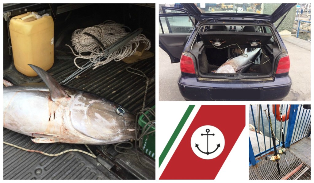 collage_dolcevita_guardiacostiera