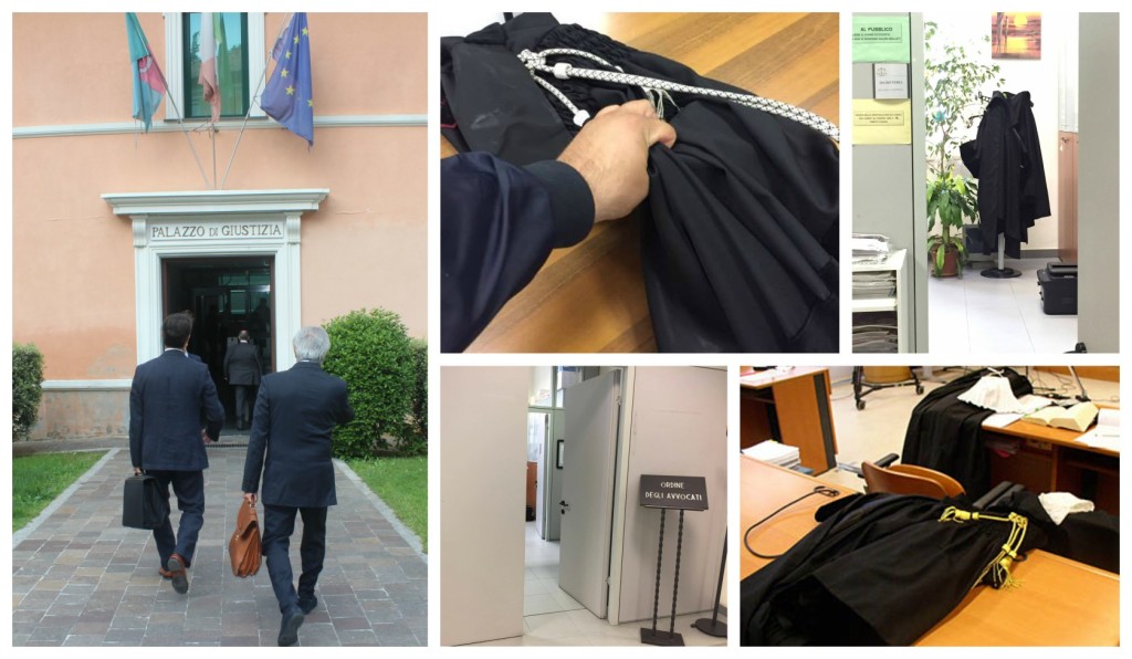 collage_furtotoghetrib2