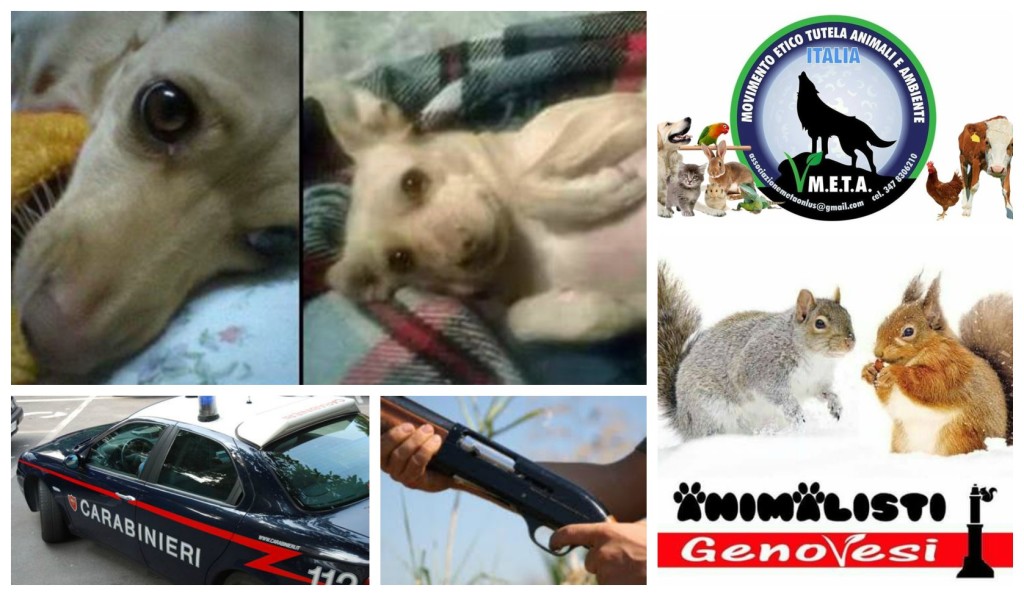 COLLAGE_cagnolinauccisa_corteo