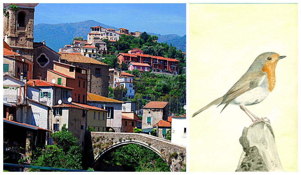 collage_mostradolcedo