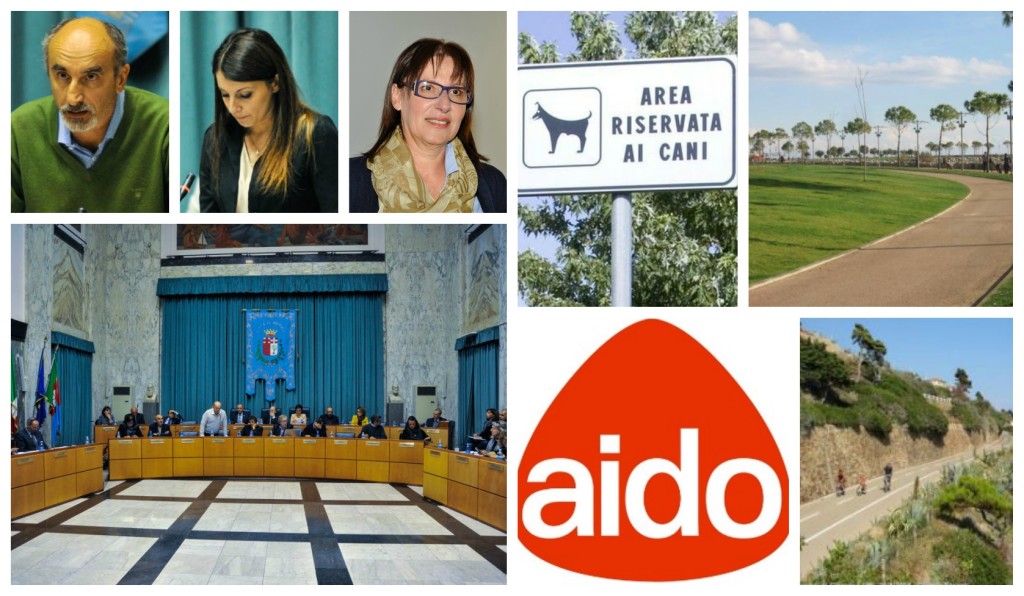 collage_qt_paolore_6giu