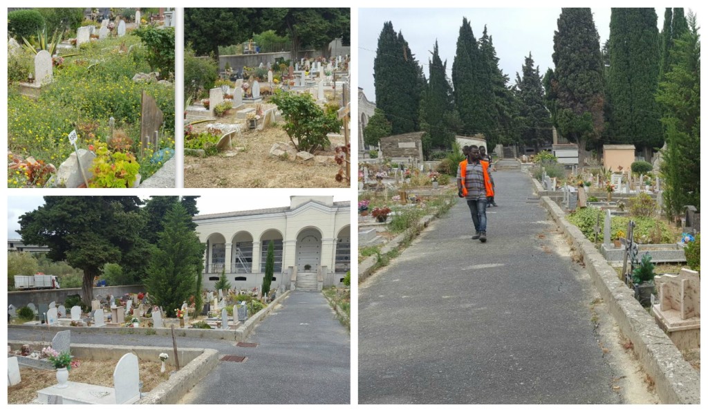 collage_ripuliticimitericimino