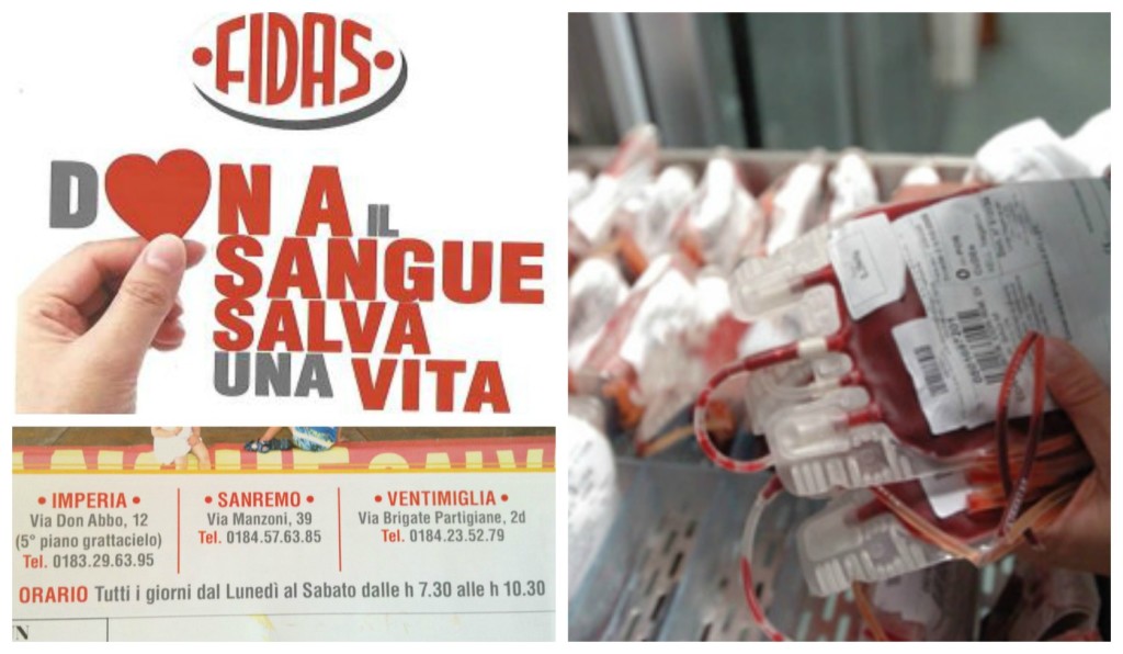 collage_fidasangue_
