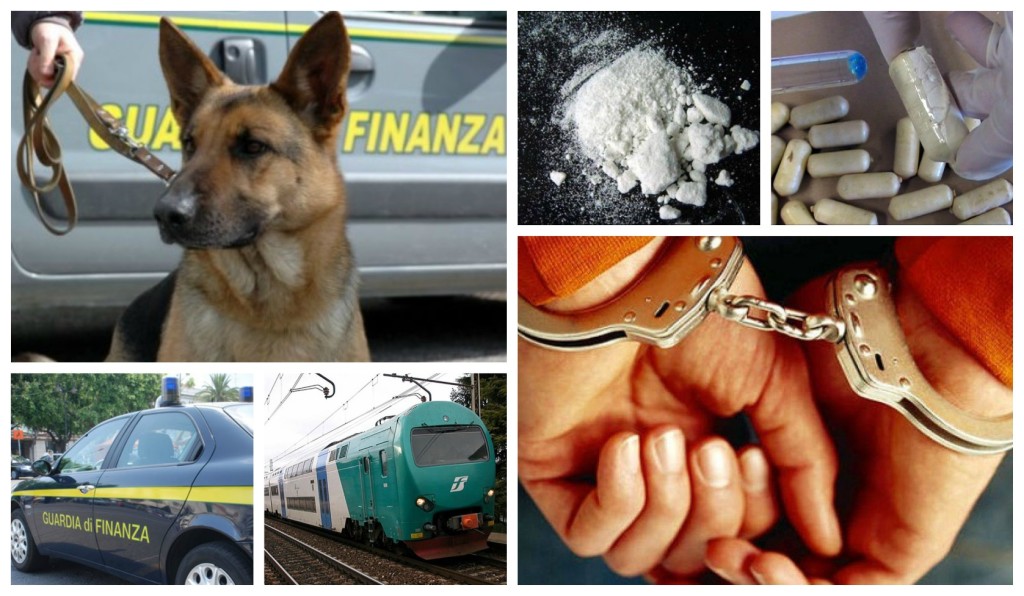 collage_cocatrenocorpo