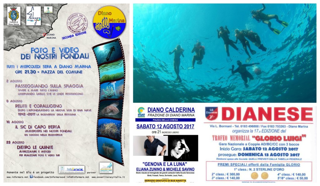 collage_ferrag_dm