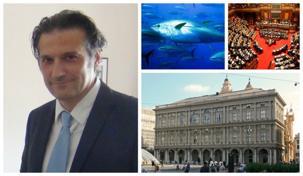 collage_maitonnorosso