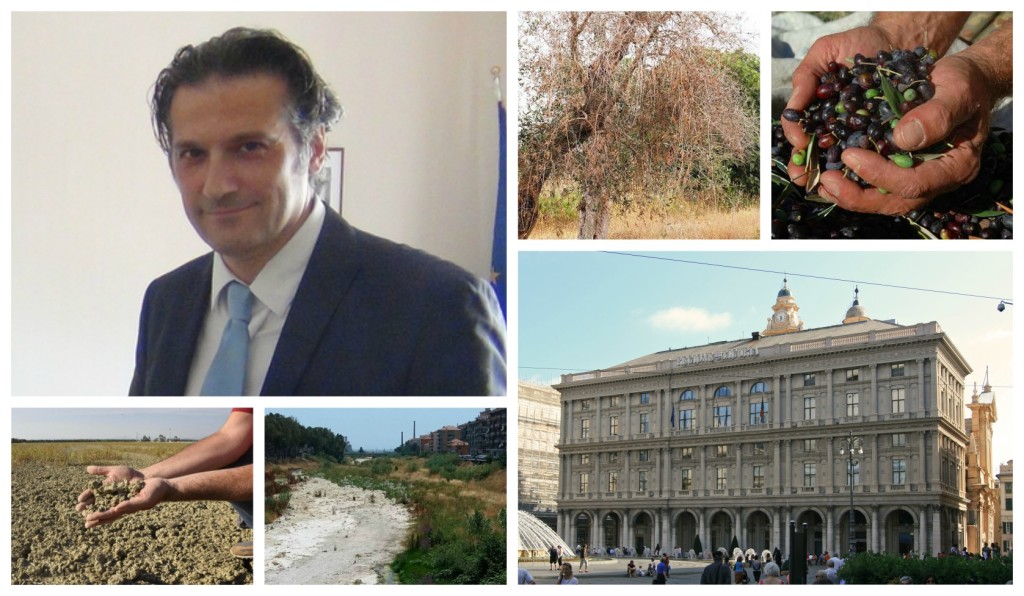 collage_siccita_2