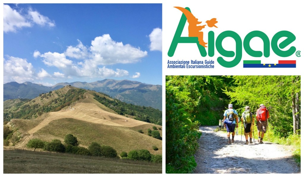 collage_aigaeguardiabella