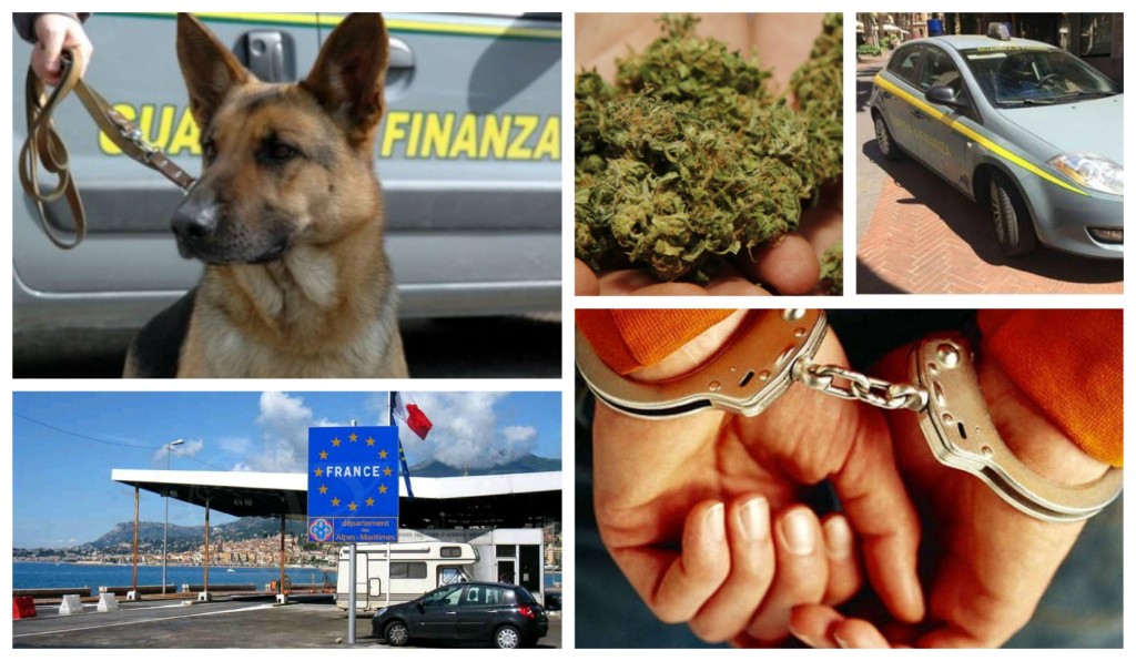 collage_canecallymaria