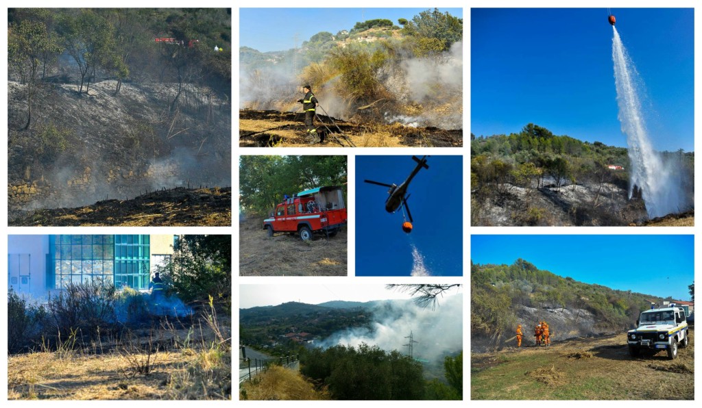 collage_incendiomoltedo2