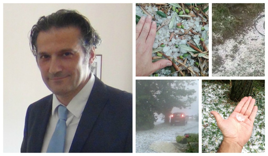 collage_maigrandinata
