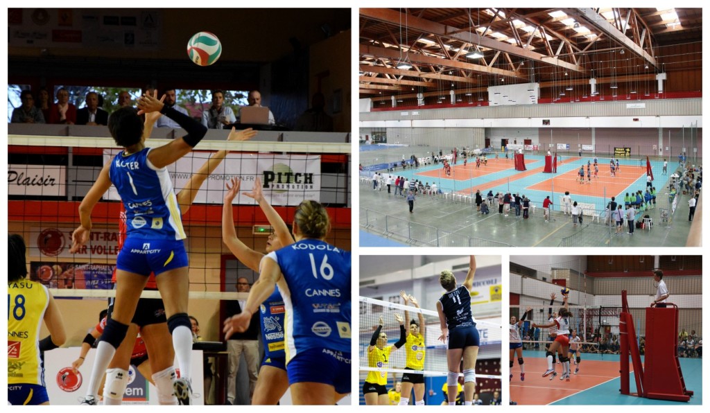 collage_pallavolo_fwef