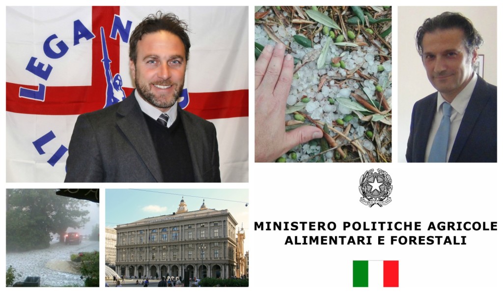 collage_pianamaiministero