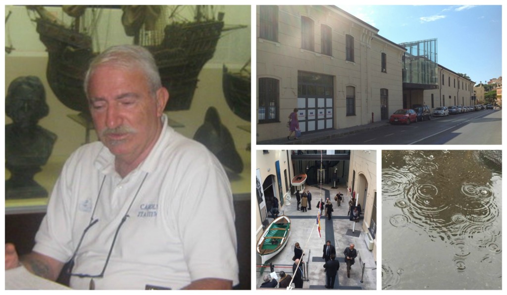 collage_savioli_qdqe