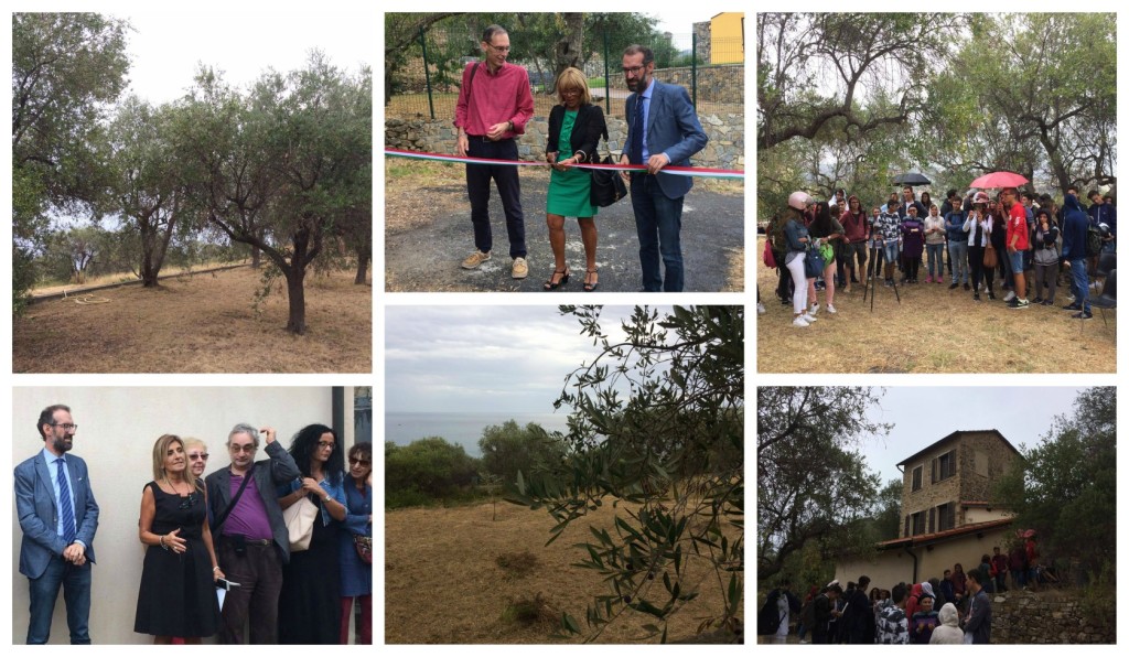 collage_ulivetosperimentale_presentazione