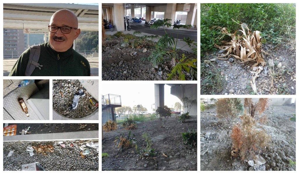 22497319_1002449689894379_1574267986_o