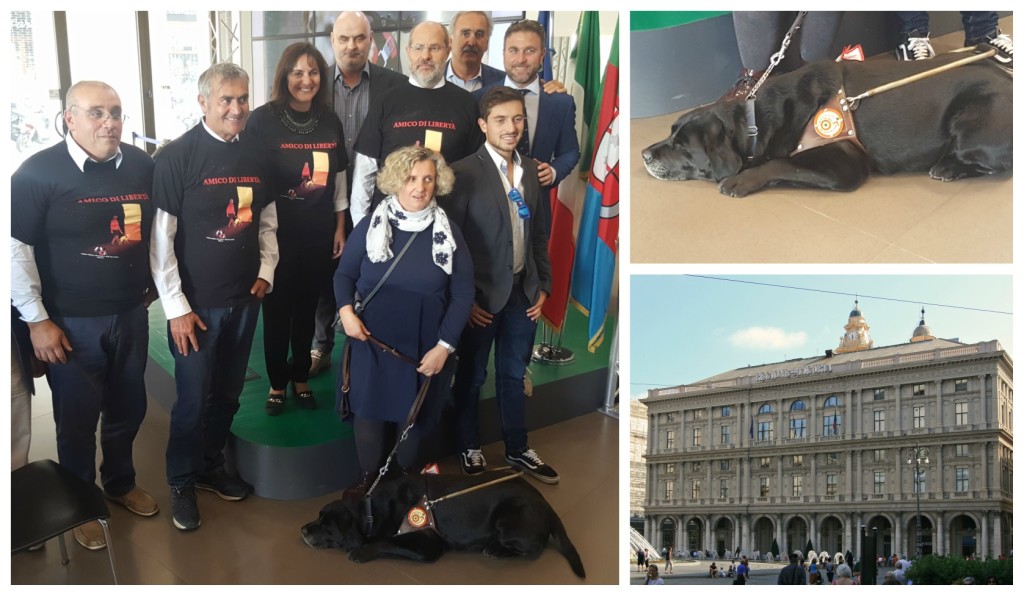 collage_cabneguiacechi