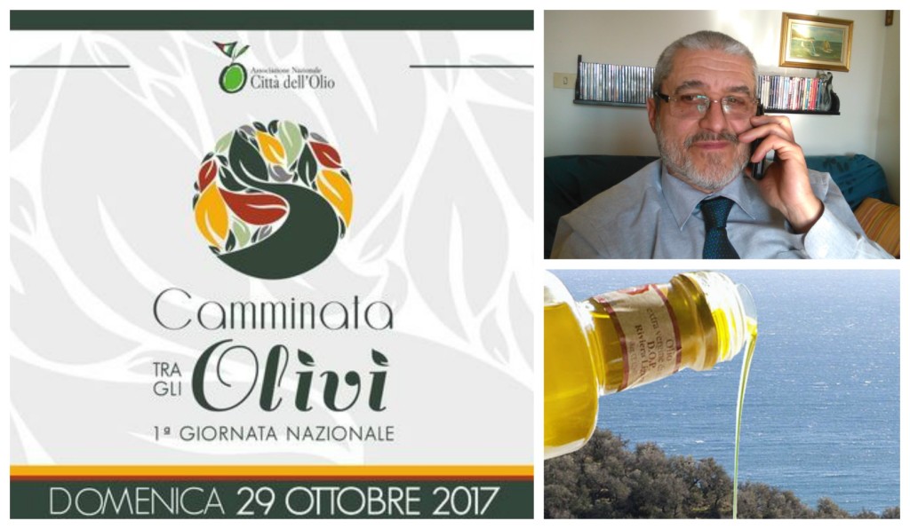 collage_cammolivi