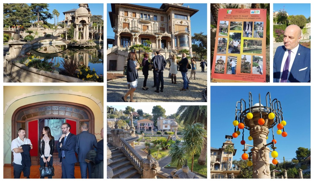 collage_jardvl_villgrock