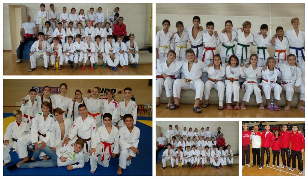 collage_judotoddex