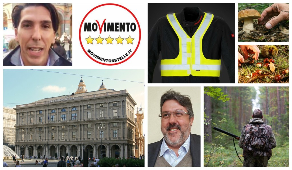 collage_pettorinaboschi