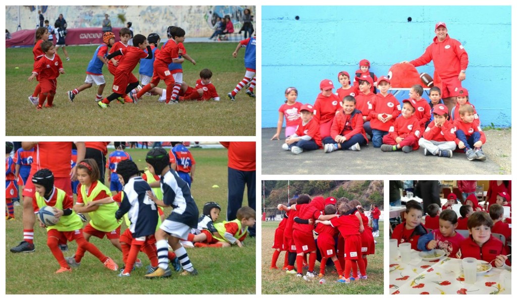 collage_redsrugby