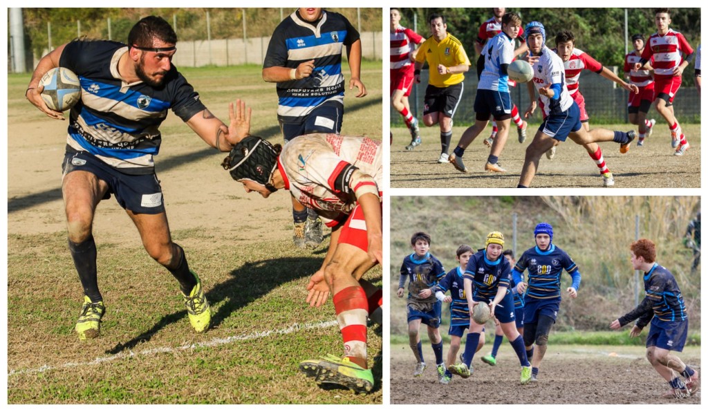 collage_rugbywfwex
