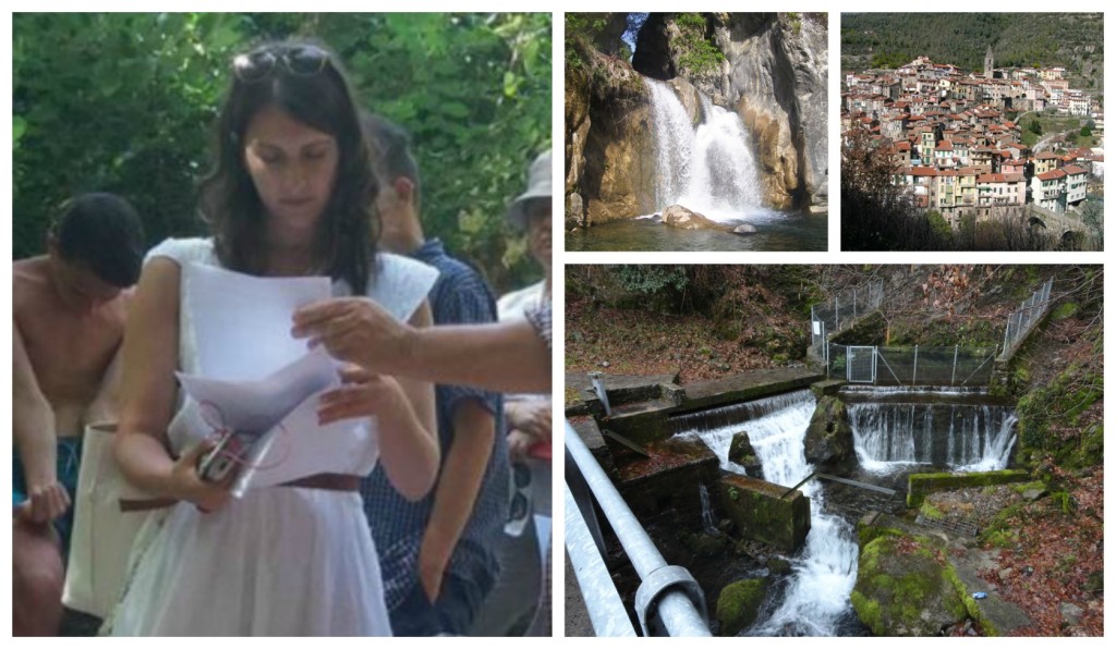 collage_salvariocarne