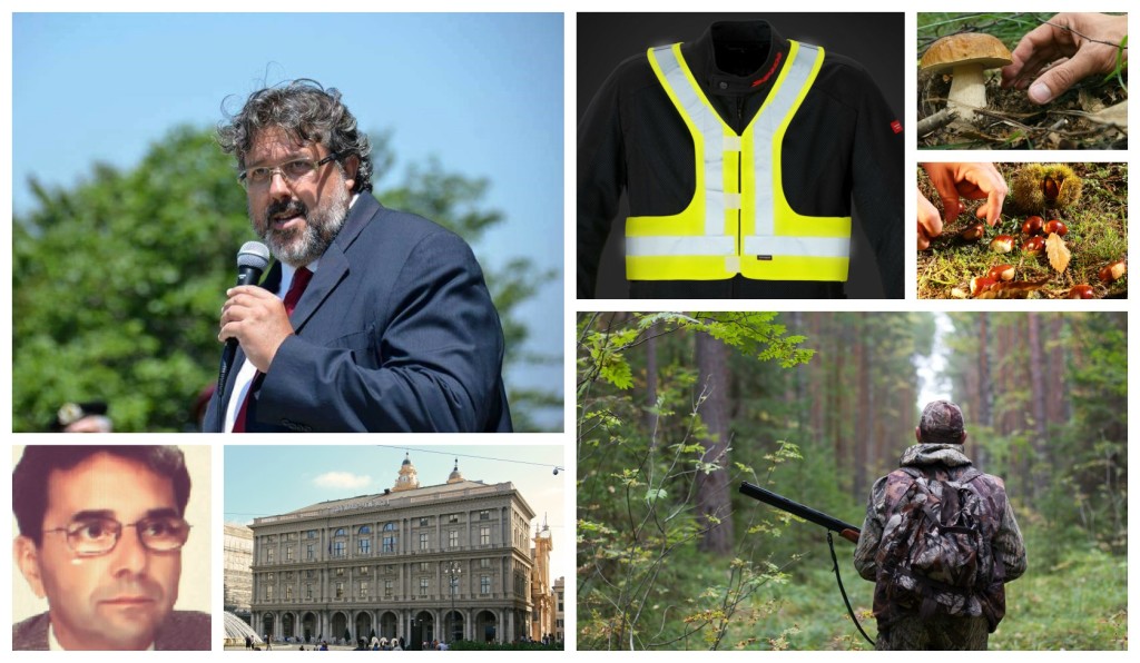 collage_vaccarezzapettorina
