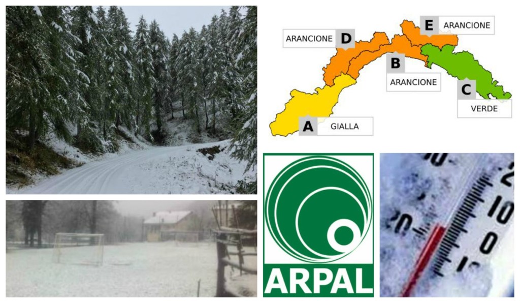 collage_allertaneve