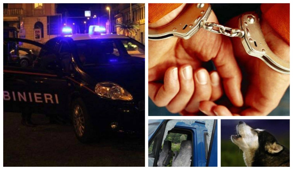collage_carab_arrestoc
