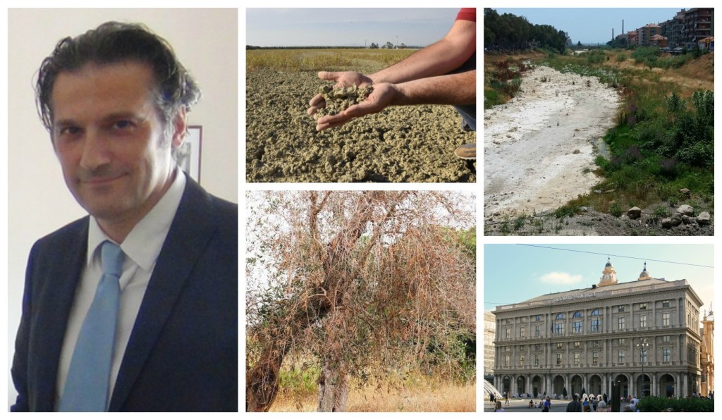 collage_maisiccit