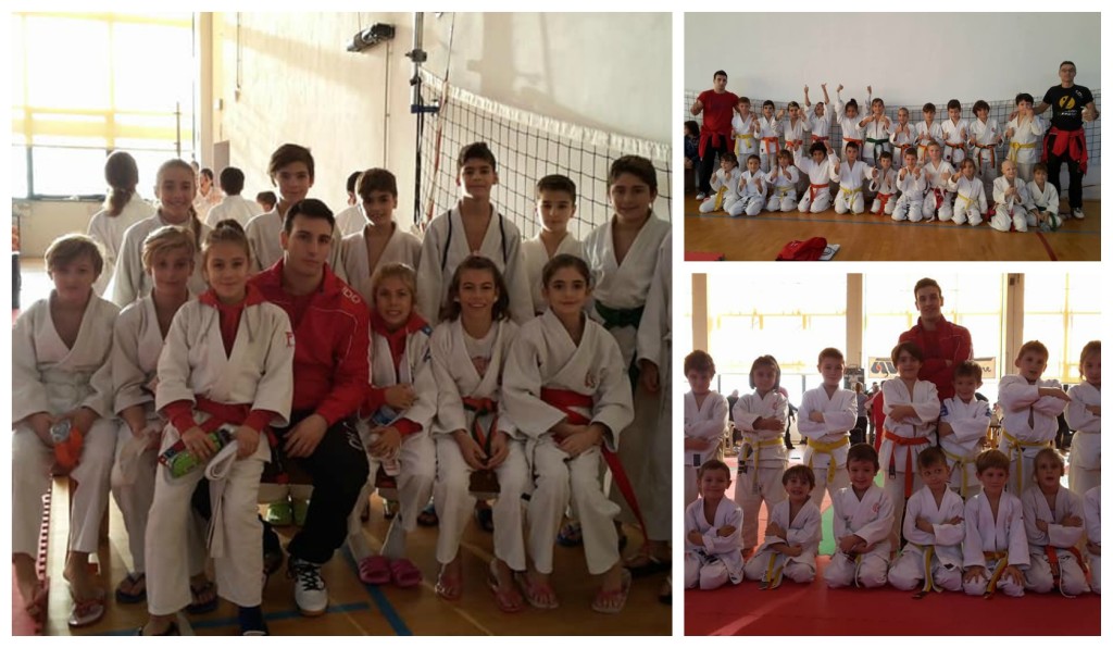 collage_oksiccojudo