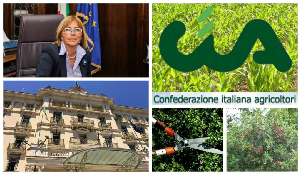 collage_prefetturafurtoverde