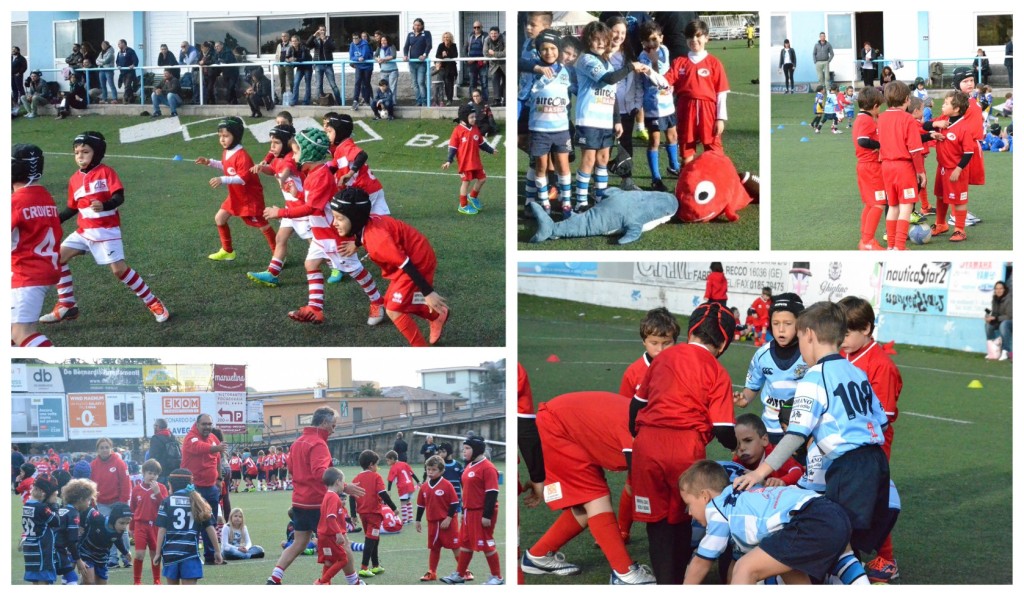 collage_redsteam_collegiale