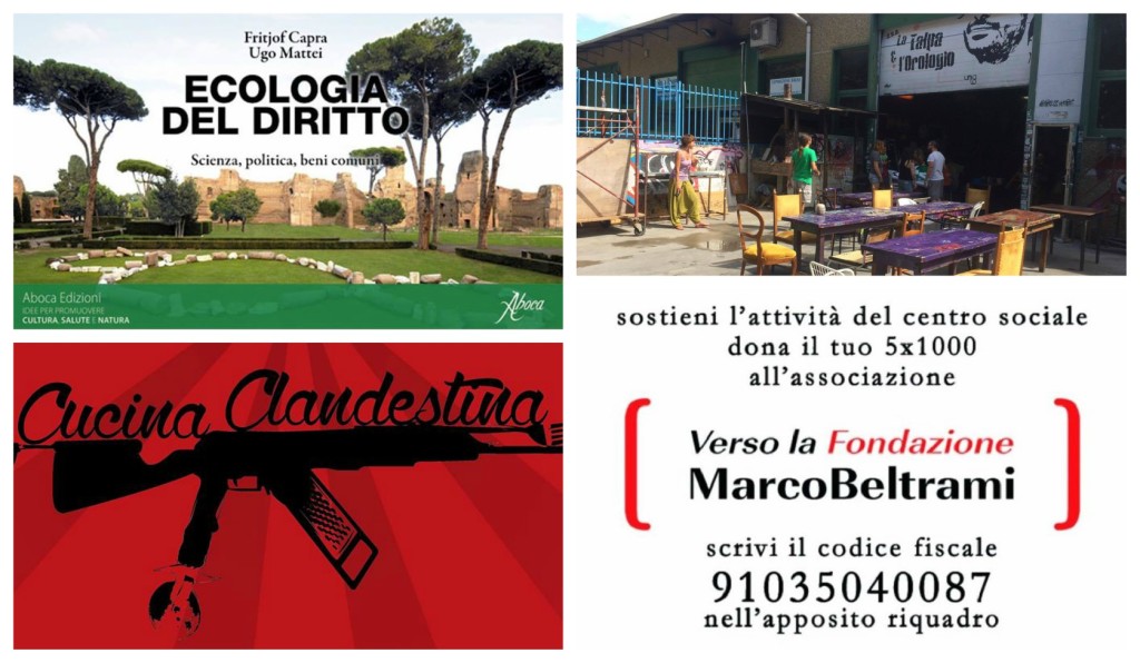 collage_talparololgio_events
