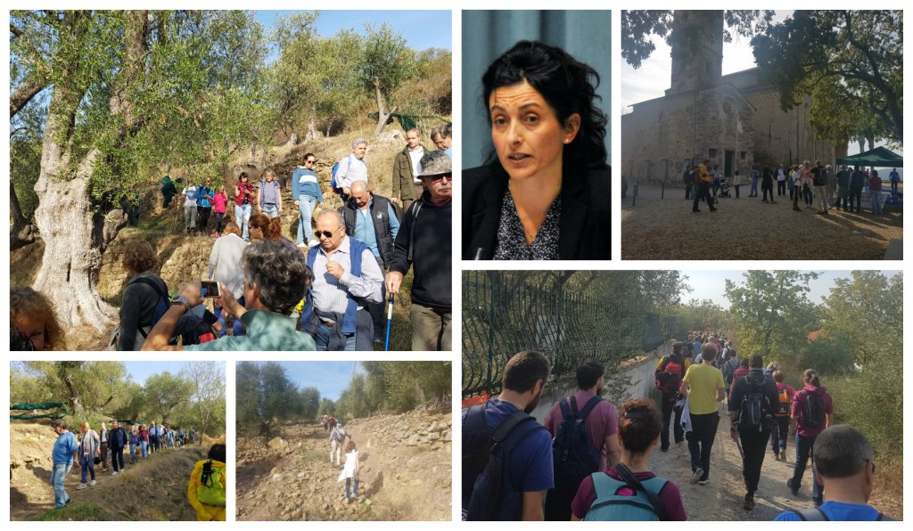 collagecamminataulivi
