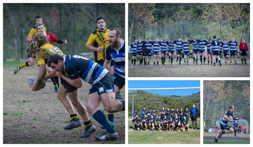 collagr_rugbyvince