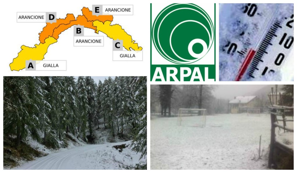 collage_allertaneve_221